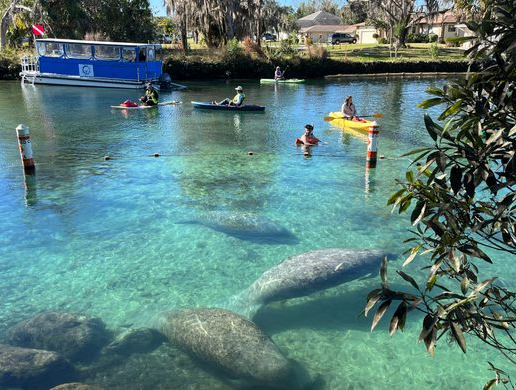 Three Sisters Springs